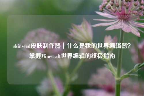 skinseed皮肤制作器|什么是我的世界编辑器?掌握Minecraft世界编辑的终极指南